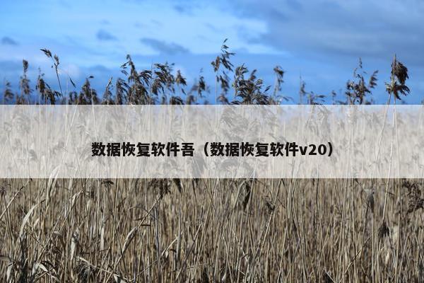 数据恢复软件吾（数据恢复软件v20）