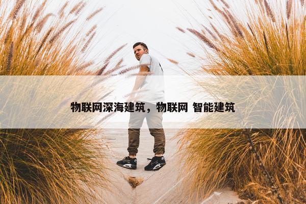 物联网深海建筑，物联网 智能建筑