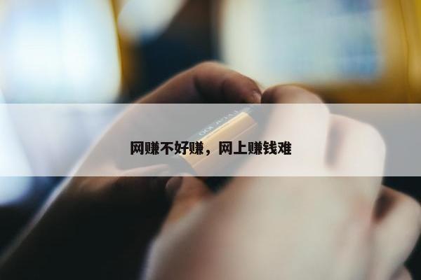 网赚不好赚，网上赚钱难