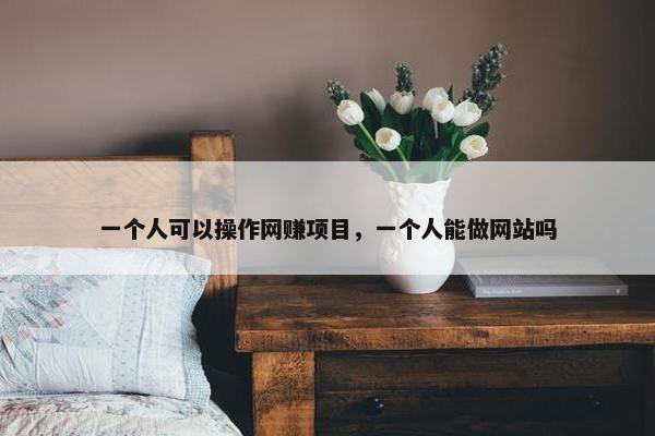 一个人可以操作网赚项目，一个人能做网站吗
