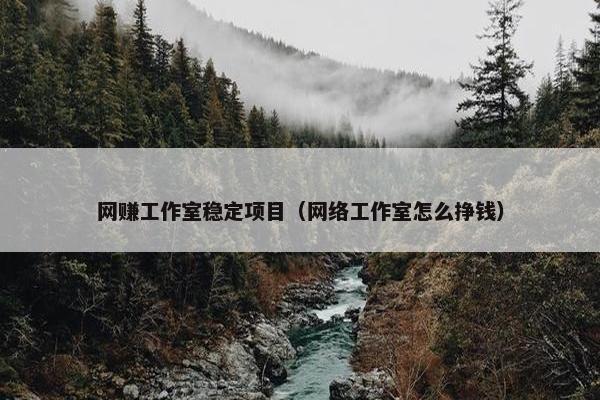 网赚工作室稳定项目（网络工作室怎么挣钱）