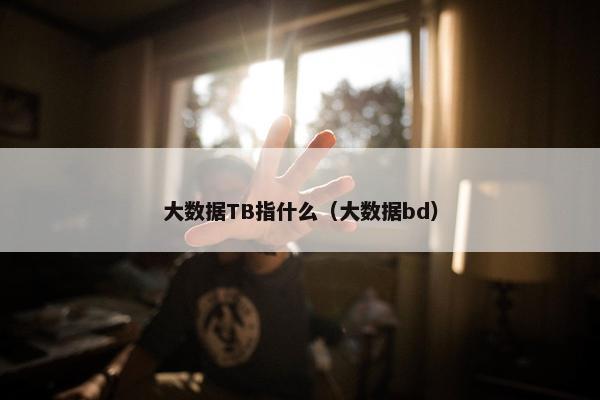 大数据TB指什么（大数据bd）