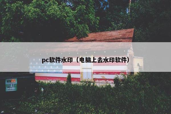 pc软件水印（电脑上去水印软件）