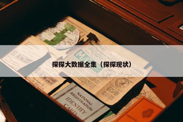探探大数据全集（探探现状）
