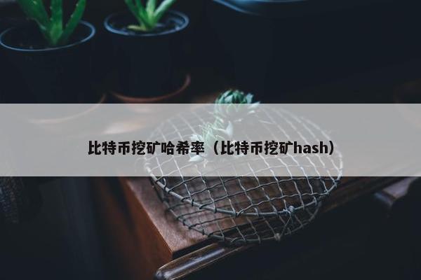 比特币挖矿哈希率（比特币挖矿hash）