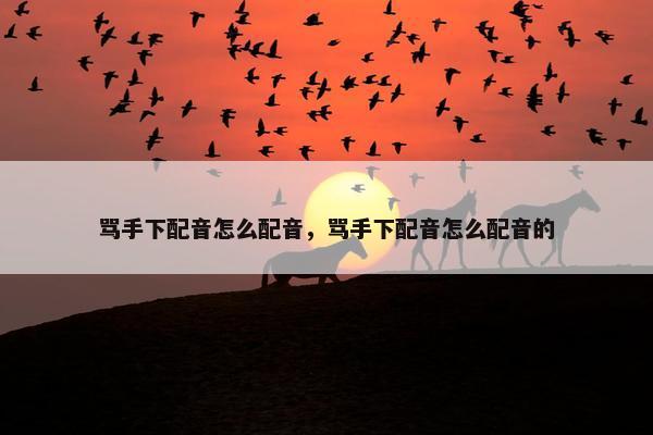 骂手下配音怎么配音，骂手下配音怎么配音的