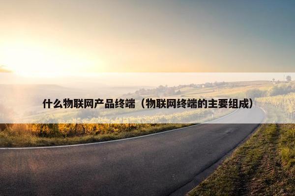 什么物联网产品终端（物联网终端的主要组成）