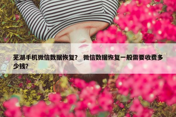 芜湖手机微信数据恢复？ 微信数据恢复一般需要收费多少钱？