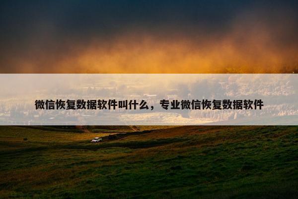 微信恢复数据软件叫什么，专业微信恢复数据软件