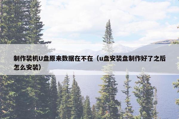 制作装机U盘原来数据在不在（u盘安装盘制作好了之后怎么安装）