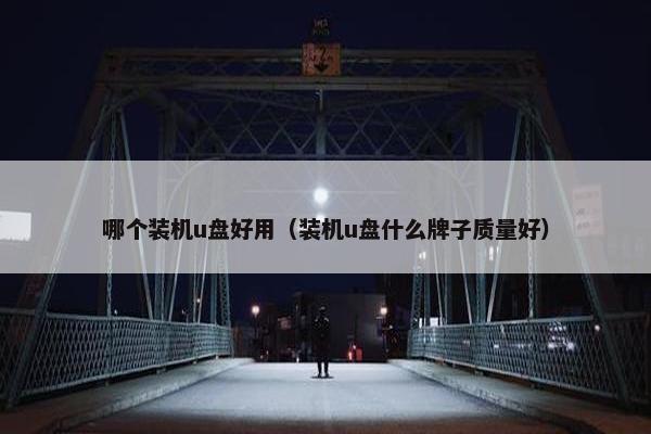 哪个装机u盘好用（装机u盘什么牌子质量好）