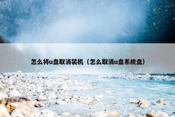 怎么将u盘取消装机（怎么取消u盘系统盘）