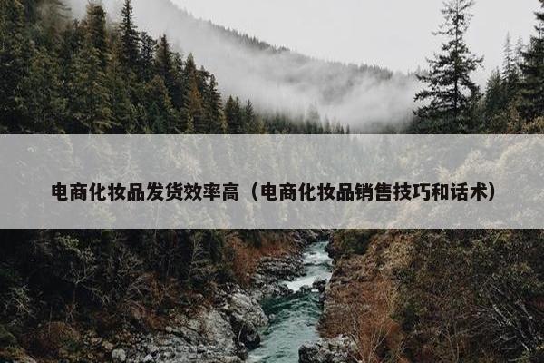 电商化妆品发货效率高（电商化妆品销售技巧和话术）