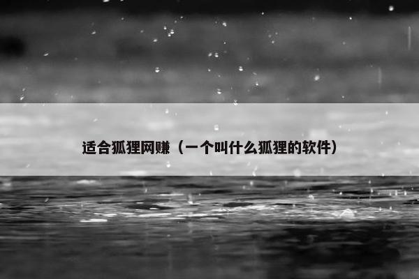 适合狐狸网赚（一个叫什么狐狸的软件）