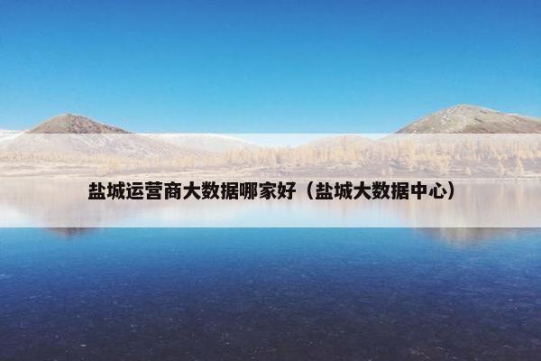 盐城运营商大数据哪家好（盐城大数据中心）