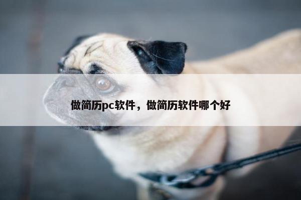 做简历pc软件，做简历软件哪个好