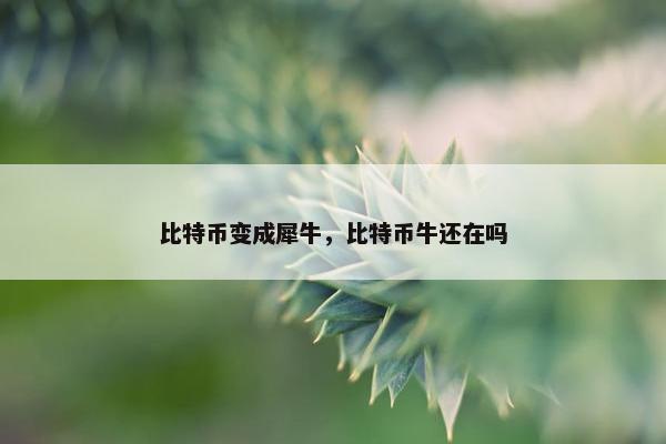 比特币变成犀牛，比特币牛还在吗
