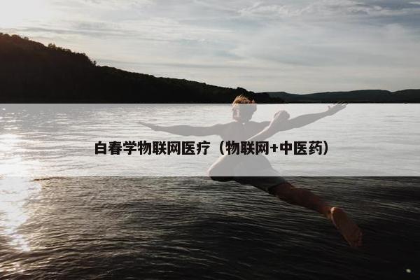 白春学物联网医疗（物联网+中医药）