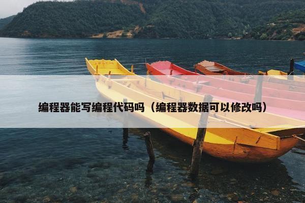 编程器能写编程代码吗（编程器数据可以修改吗）