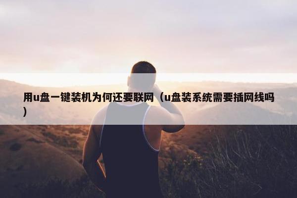 用u盘一键装机为何还要联网（u盘装系统需要插网线吗）