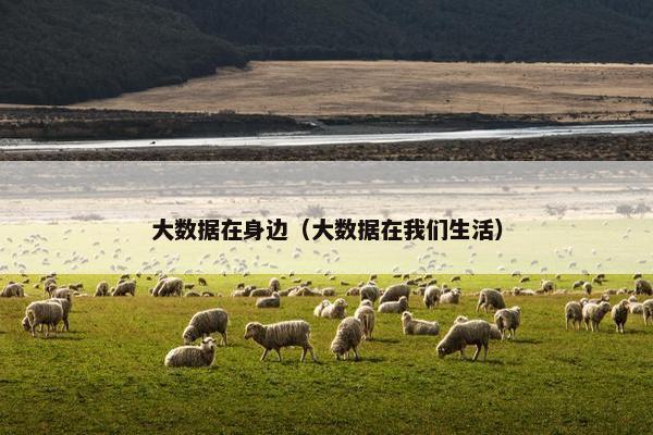 大数据在身边（大数据在我们生活）