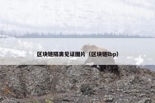 区块链隔离见证图片（区块链lbp）