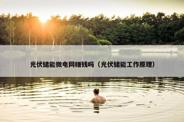 光伏储能微电网赚钱吗（光伏储能工作原理）