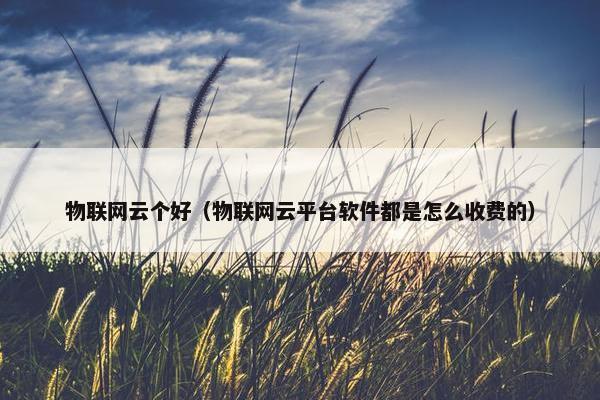物联网云个好（物联网云平台软件都是怎么收费的）