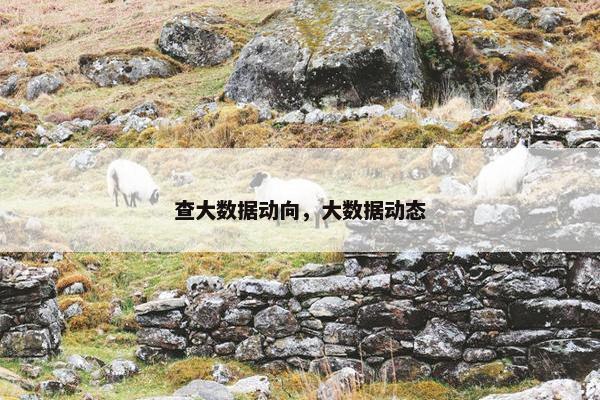 查大数据动向，大数据动态