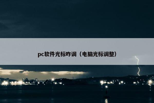 pc软件光标咋调（电脑光标调整）