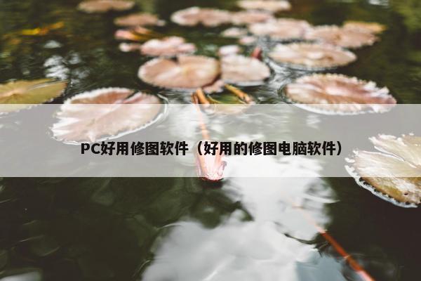 PC好用修图软件（好用的修图电脑软件）