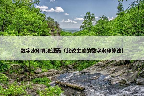 数字水印算法源码（比较主流的数字水印算法）