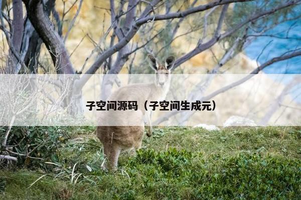 子空间源码（子空间生成元）