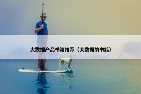 大数据产品书籍推荐（大数据的书籍）