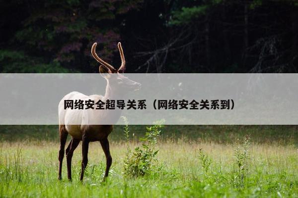 网络安全超导关系（网络安全关系到）