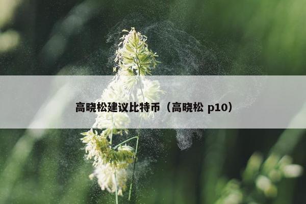 高晓松建议比特币（高晓松 p10）
