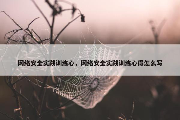 网络安全实践训练心，网络安全实践训练心得怎么写