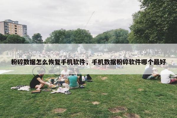 粉碎数据怎么恢复手机软件，手机数据粉碎软件哪个最好