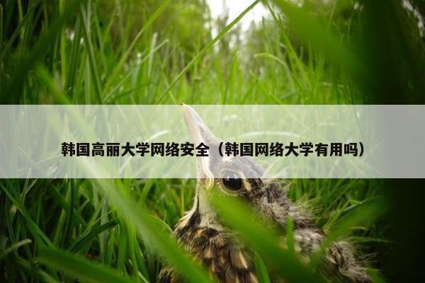 韩国高丽大学网络安全（韩国网络大学有用吗）