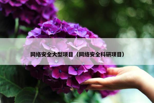 网络安全大型项目（网络安全科研项目）