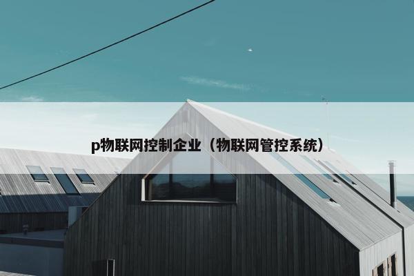 p物联网控制企业（物联网管控系统）