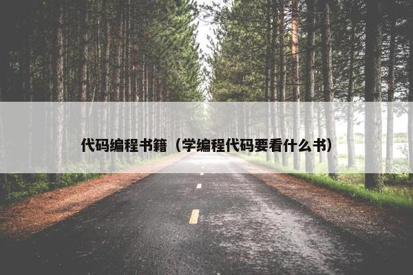 代码编程书籍（学编程代码要看什么书）