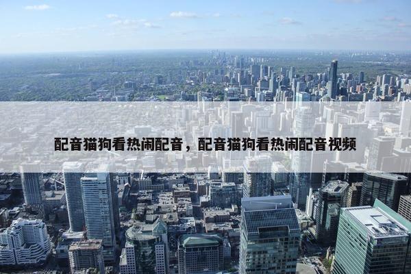 配音猫狗看热闹配音，配音猫狗看热闹配音视频