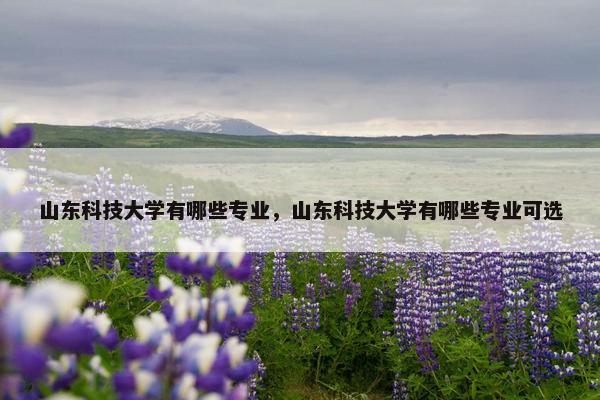 山东科技大学有哪些专业，山东科技大学有哪些专业可选