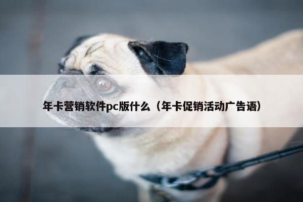 年卡营销软件pc版什么（年卡促销活动广告语）
