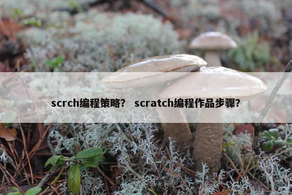 scrch编程策略？ scratch编程作品步骤？