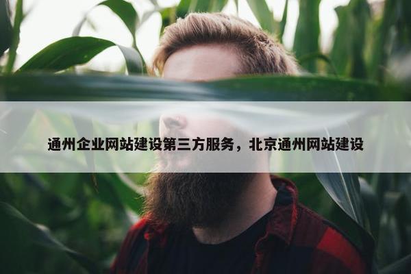 通州企业网站建设第三方服务，北京通州网站建设