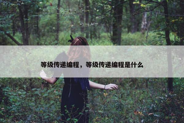 等级传递编程，等级传递编程是什么
