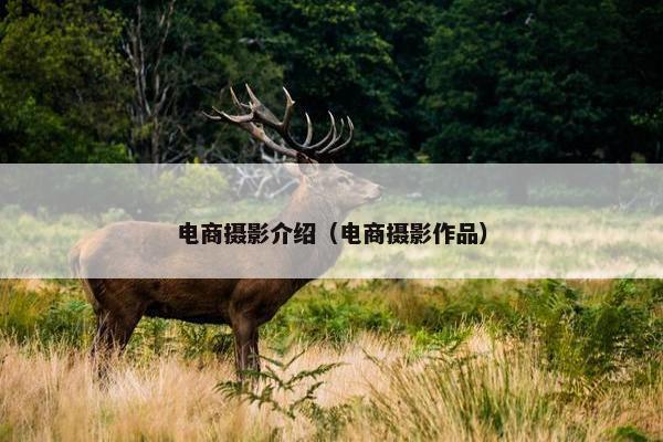电商摄影介绍（电商摄影作品）