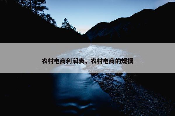 农村电商利润表，农村电商的规模